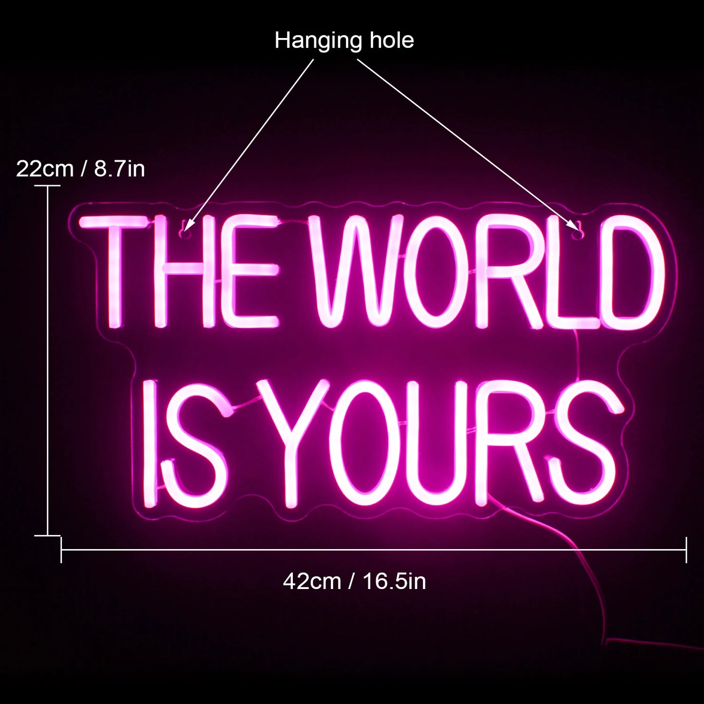 "The World Is Yours"  Neon Sign